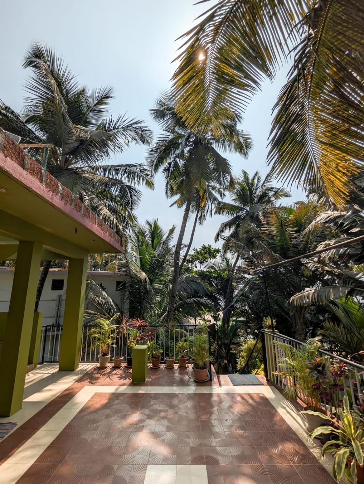 Luciano Guest House Arambol Dış mekan fotoğraf